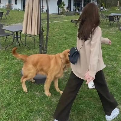 最后的教父